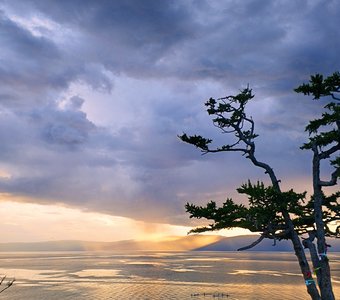 Загадывай желание, или...просто благодари!