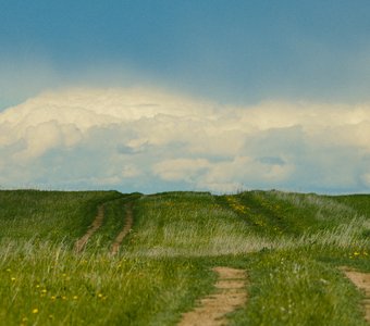 Неприглядная дорога, да любимая навек!