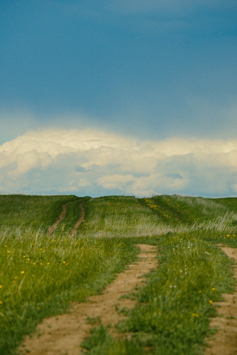 Неприглядная дорога, да любимая навек!