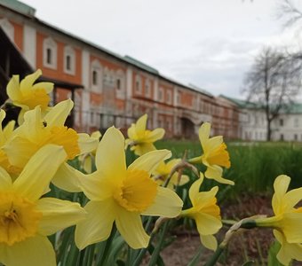 Ярославский музей-заповедник