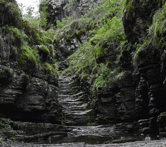 "Джунгли Сухих водопадов"