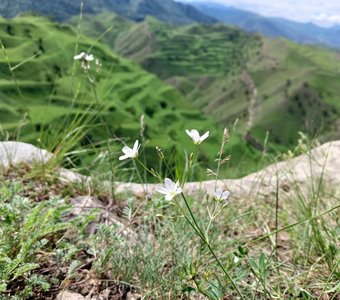 Красоты Дагестана (Чох)