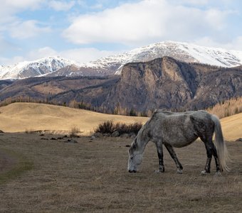 Обед с шикарным видом