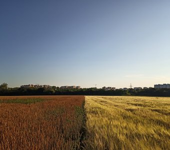 Тонкая грань