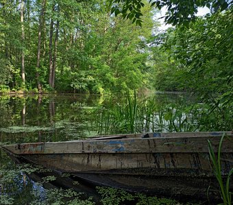 Гармония с природой