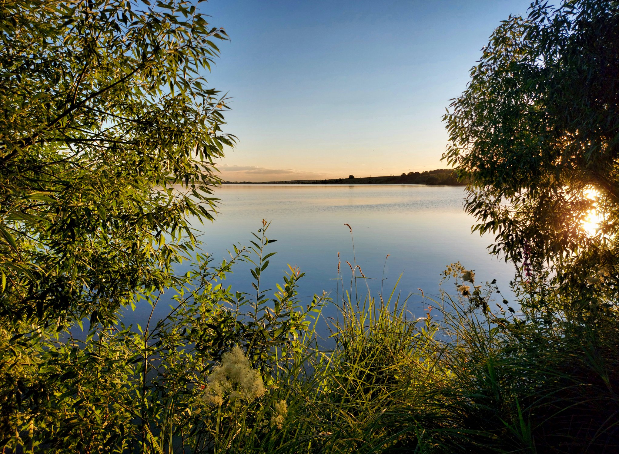 Гамовское водохранилище Тульская область фото.