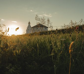 Закат в траве