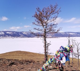 Шёлковые святыни