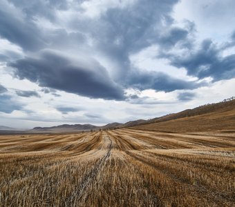 Весна, ещё не вспаханное поле.