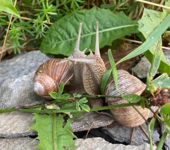 На одной волне