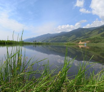 Тихий берег