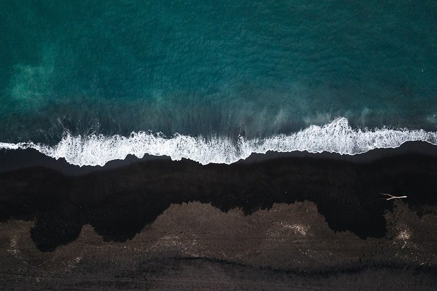 Фото: Ted.ns