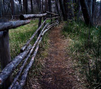 Путь в неизведанное