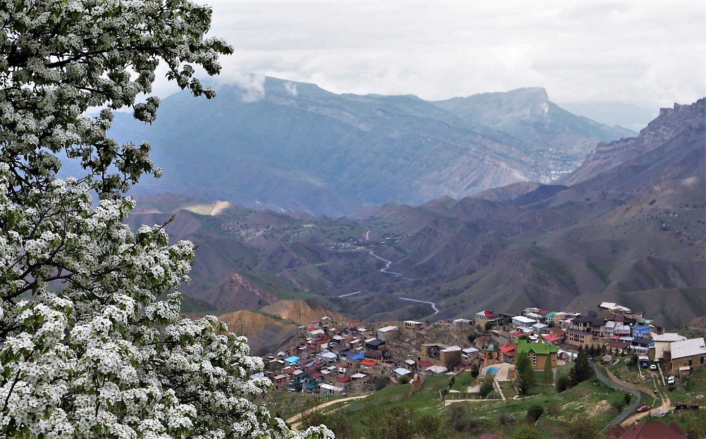 Село Чох Дагестан