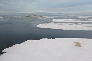 Российские океанологи открыли в Арктике неизвестное теплое течение