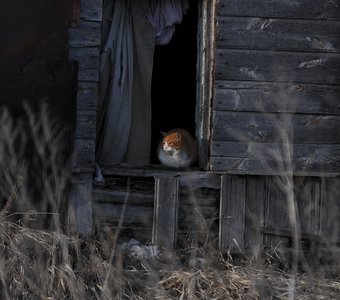 Хозяин заброшенного дома в деревне.