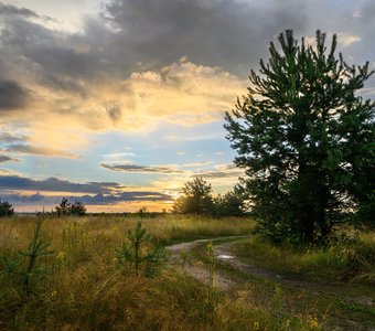 Закат после дождя