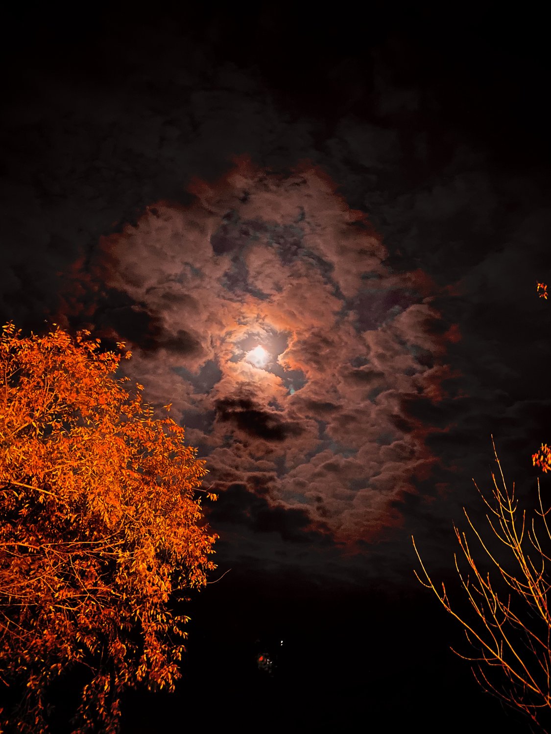 Разбор осенняя ночь. Россия осенью ночь. Фото осеннего леса на Ямале. Лагрес золотое фото ночью.