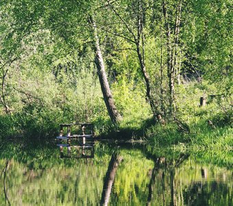 Прекрасным утром