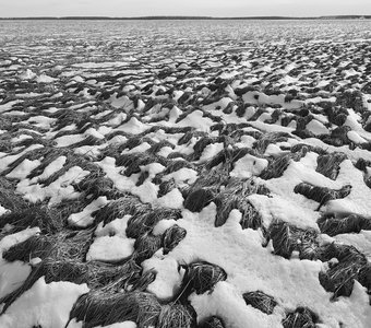 Почти как море