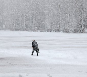 Через майскую метель