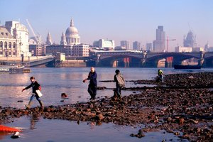 Влажные салфетки в реке Темзе образовали остров