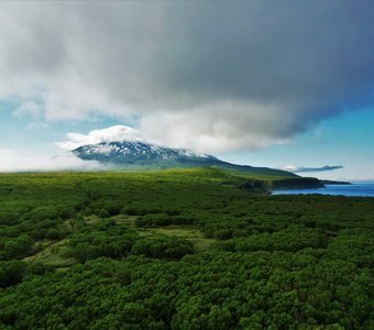 Нехоженый лес вокруг вулкана Богдан Хмельницкий