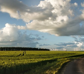 Ах дорожка вьется