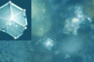 В пыли челябинского метеорита найдены невиданные ранее кристаллы