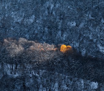 Осень - Зима