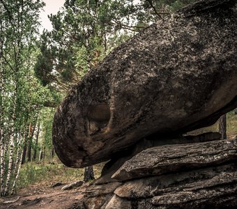 Каменный инопланетянин в лесу