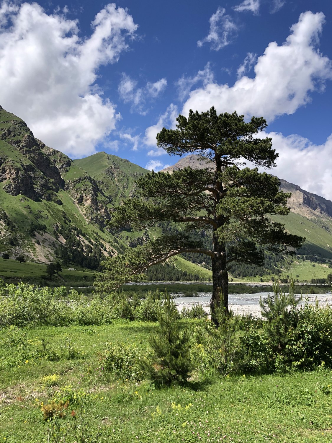 Чегемское ущелье