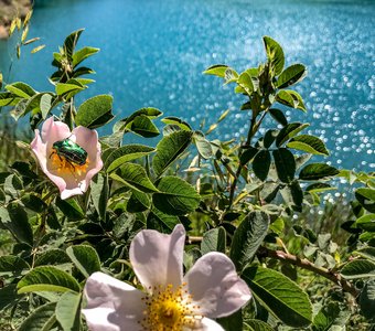 Гармония цвета и света