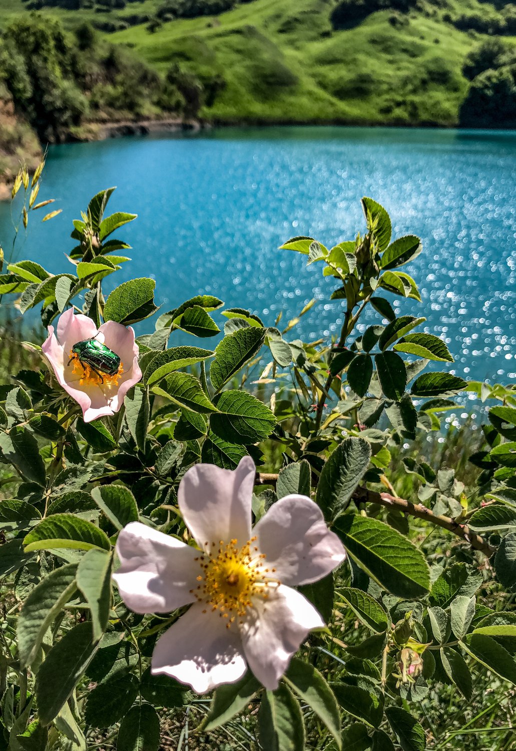 Гармония цвета и света