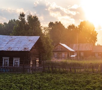 Утро в деревне