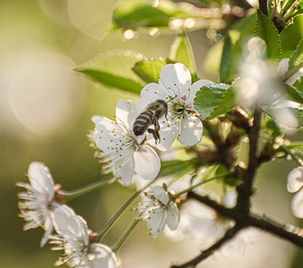 Заход на посадку