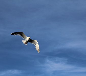 В полете над Байкалом