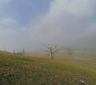 Туманы Байкала