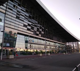 Врата в Лето