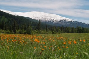 Отдых на Алтае, Байкале и Камчатке стал существенно дороже