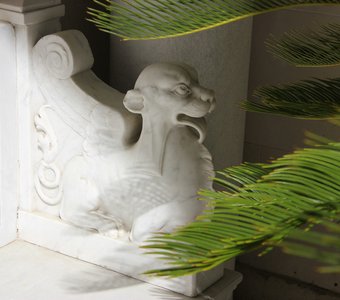 Отдых в тени