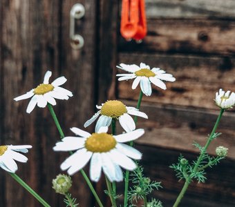 После дождичка в четверг