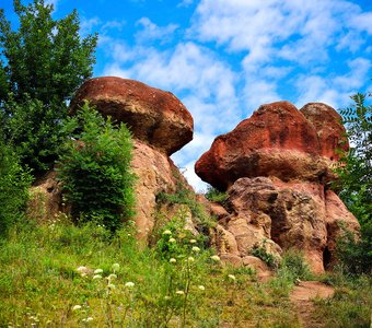 Каменные грибы