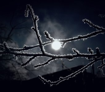Зимняя луна