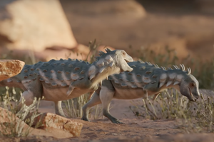 Маленькие, но выносливые: в Южной Америке обнаружили новый вид динозавров размером с кошку