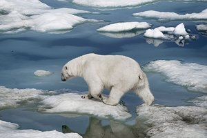 Арктика нагревается в разы быстрее, чем весь земной шар