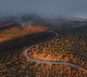 Изгибы осени