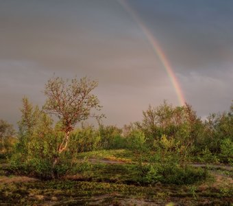 Радуга в полярную ночь.