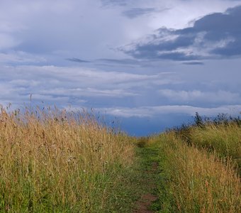 Тропинка в небо
