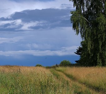 Перед дождем
